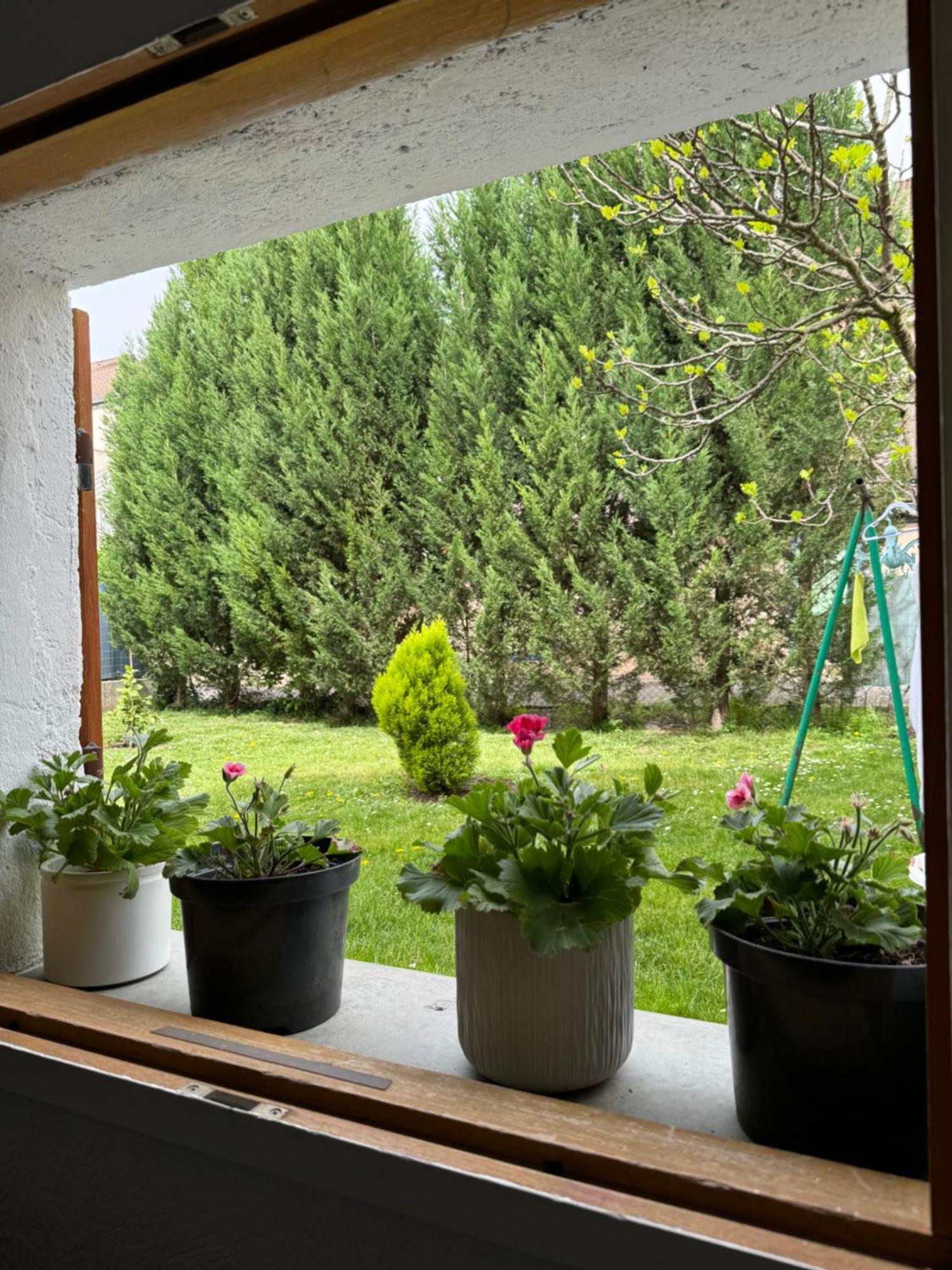 Appartement T2 La Roseraie *
